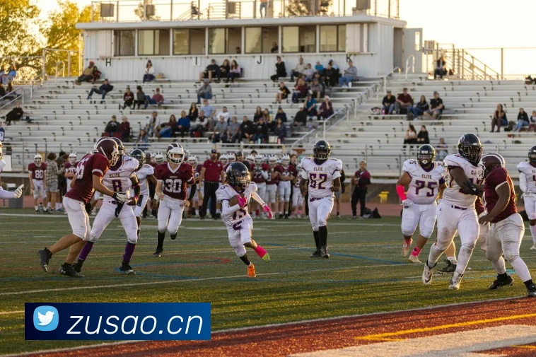 开云网页版在线登录appAPP 封面图